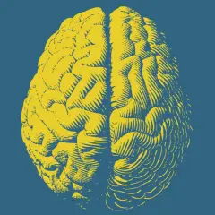 Cervello giallo stilizzato su sfondo blu. Un'immagine che evoca la complessità del pensiero, forse per esplorare il parafilia significato.