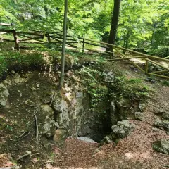 Wejście do jaskini w rezerwat sokole góry. Drewniane ogrodzenie chroni ścieżkę wśród zieleni i skał.