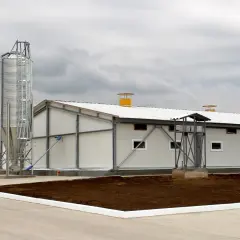 Jakie są przepisy dotyczące odległości chlewni od budynku mieszkalnego?