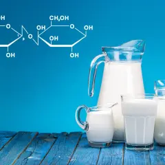 Wzór chemiczny laktozy, czyli cukru mlecznego, obok dzbanków i szklanek z mlekiem.