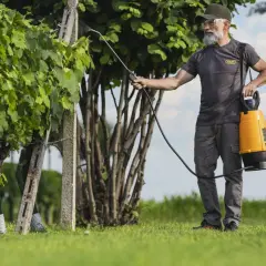 Uomo con spruzzatore esegue trattamenti pesco. La cura delle piante è fondamentale per un raccolto sano.