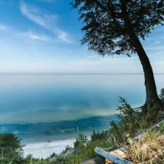 Widok na spokojne morze z klifu w Międzyzdrojach. Drzewo na pierwszym planie, plaża w oddali. Piękne międzyzdroje atrakcje.