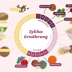 Der Zyklus der Ernährung zeigt, wie energiereiches Essen wie Vollkornbrot, Beeren und Nüsse den weiblichen Zyklus unterstützt.