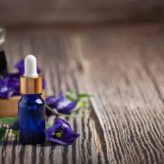 Jaki olejek do nawilżacza? Pełny przewodnik bezpiecznej aromaterapii