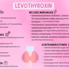 Levothyroxin: Indikationen, Wirkmechanismus, Wechselwirkungen, Kontraindikationen und Nebenwirkungen. Behandelt u.a. Hypothyreose.