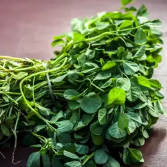 Pęczek świeżej kozieradki z korzeniami i zielonymi liśćmi na drewnianym tle.