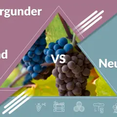 Spätburgunder: Burgunder vs. Neue Welt. Zwei Trauben, ein Wein.
