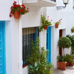 Un encantador pueblo indalo que ver: callejuela blanca con puertas azules, macetas con flores rojas y verdes, y árboles topiarios.