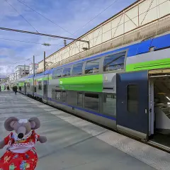 Une peluche souris attend le train pour Beauvais, à une distance raisonnable de Paris.