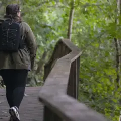 En person med ryggsäck vandrar på en träbro genom en lummig skog. En härlig vandring i Dalarna.