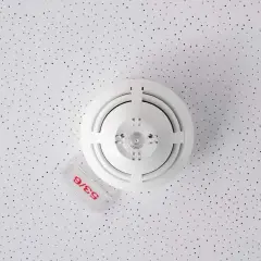 Rauchmelder an einer perforierten Decke. Sie reagieren auf Rauchpartikel in der Luft, um Brände frühzeitig zu erkennen.