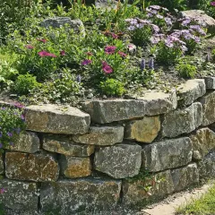 Eine rustikale **Trockenmauer** im **Garten** stützt ein Blumenbeet mit rosa und lila Blüten. Grüne Pflanzen ranken sich über die Steine.