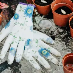 Blommiga handskar ligger bredvid krukor med jord och frön, redo för att odla på balkong. Små plantor väntar på att planteras.