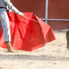 Un torero, con su traje de luces, usa una muleta roja para enfrentarse a un toro. Los pantalones ajustados y las botas son parte de lo que llevan los toreros en la entrepierna.