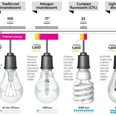Porównanie różnych typów żarówek: tradycyjnej, halogenowej, świetlówki CFL i LED. Pokazuje, co to jest źródło światła i ile energii zużywa każda z nich.