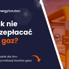 Przewodnik dla firm: Jak nie przepłacać za gaz? Optymalizacja kosztów gazu dla Twojej firmy.