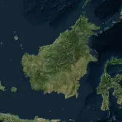 Widok satelitarny Borneo, z zaznaczonymi terenami zielonymi i wodami. Widać fragmenty Malezji i Indonezji, idealne do planowania podróży, w tym lotnisko na Borneo.