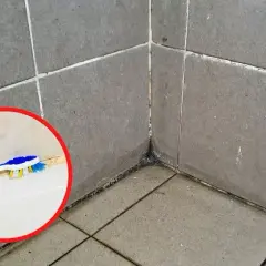 Czyste fugi bez wysiłku? Sprawdzone metody na brud i pleśń!
