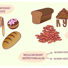 Węglowodany proste (makaron, ciastko) i złożone (chleb, ryż). Węglowodany nieprzyswajalne to błonnik rozpuszczalny i nierozpuszczalny.