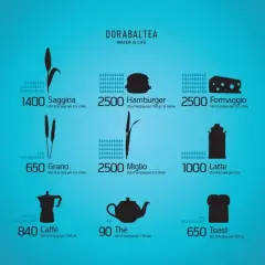 L'impronta idrica: scopri quanti litri d'acqua servono per produrre cibo come caffè, latte, formaggio e hamburger.