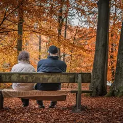 Para szuka najlepszych prywatnych domów opieki na Śląsku, siedząc na ławce w jesiennym lesie.