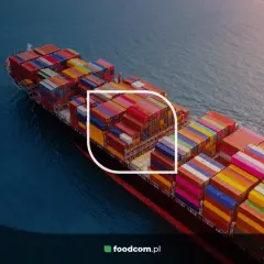 Frachtschiff mit bunten Containern auf dem Meer, ein Beispiel für intermodale Transportlösungen.