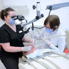 Dentystka wykonuje leczenie pod mikroskopem. Cena zabiegu zależy od jego złożoności.