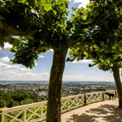 Bad Nauheim: Restaurants, Cafés & Kulinarik Guide | Entdecken Sie Genuss