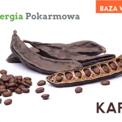 Mączka chleba świętojańskiego (E410): Bez glutenu? Rozwiewamy wątpliwości!