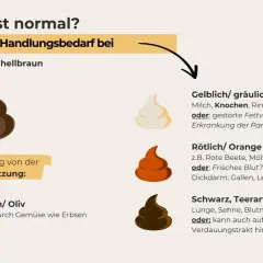 Hund Kot: normal ist dunkelbraun. Rötlicher Kot kann auf frisches Blut im Stuhl hinweisen, was tierärztliche Abklärung erfordert.