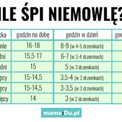 Twój dwumiesięczny szczeniak to śpioch? Ile snu jest normą?