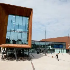 Cité de la Gastronomie Dijon : le guide ultime pour une visite réussie