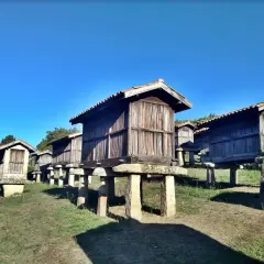 Fila de hórreos de madera sobre pilares de piedra, un paisaje rural típico de Galicia.