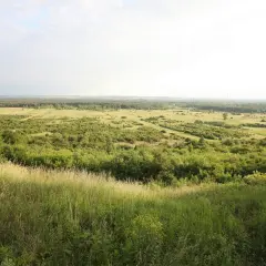 Krajobraz z pagórkami porośniętymi zielenią, przypominający kuestę jurajską. W oddali las i pola.