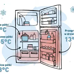 Temperatura w lodówce: 2-5°C to klucz do świeżości i niższych rachunków