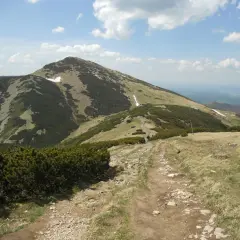 Szlak prowadzi na szczyt Velký Kriváň. Po drodze widać kosodrzewinę i resztki śniegu.