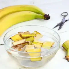 Nawóz z bananów do jakich roślin? Skórki bananów w wodzie, gotowe na odżywczy eliksir dla roślin.