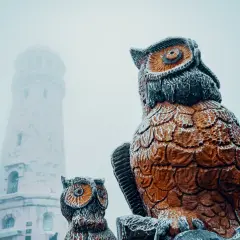 Wielka sowa i jej mniejsze towarzyszki strzegą szlaki w zimowej scenerii. W oddali majaczy wieża.