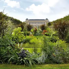 Jardin luxuriant devant le musée d'histoire naturelle de Paris, accessible en métro.