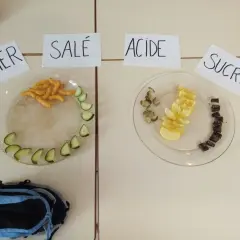 Plats avec des aliments pour un jeu du goût adulte : amer (chips, concombre), salé (chips), acide (citron), sucré (chocolat).