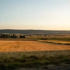 Złote pola zbóż pod łagodnymi wzgórzami, przypominającymi najstarsze góry w Polsce.