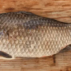 Oto karp na drewnianym blacie. Czy ryba to mięso? To pytanie, na które każdy odpowie inaczej, ale ten okaz wygląda apetycznie.