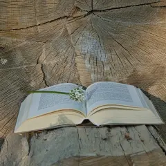 Otwarta księga na pniu drzewa, z kwiatem czosnku niedźwiedziego. W tle widoczne słoje drewna, przypominające o psalm 122.