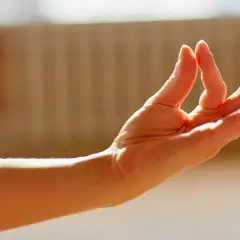 Mano en posición de Gyan Mudra, que simboliza el conocimiento y la sabiduría.