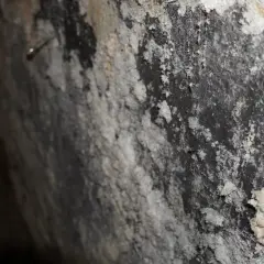 Salpeterablagerungen an einer Wand. Was tun gegen Salpeter? Feuchtigkeit und Salz sind sichtbar.