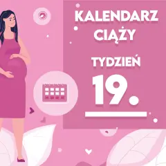 Kobieta w 19. tygodniu ciąży, z brzuszkiem. Obok kalendarz i napis "Kaledarz ciąży tydzień 19".