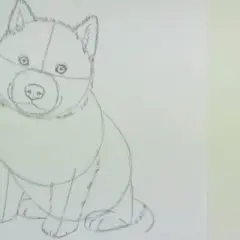 Jak łatwo narysować psa husky krok po kroku dla początkujących
