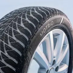 Kto produkuje opony Motrio? Zaskakujące szczegóły o ich wytwórcy