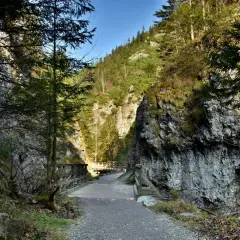 Kamienista ścieżka prowadzi przez wąwóz do drewnianego mostku. Idealne zakopane trasy dla seniorów, by podziwiać przyrodę.