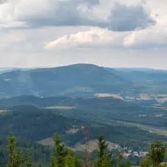 Widok na rozległą, zieloną dolinę z dominującą, zalesioną borową górą na horyzoncie. Na szczycie góry widoczna wieża telekomunikacyjna.